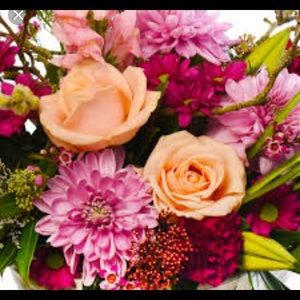 Meet your Posher, Nia